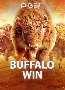 สูตรเล่น slot pp ให้ได้กำไรอย่างมีสติ